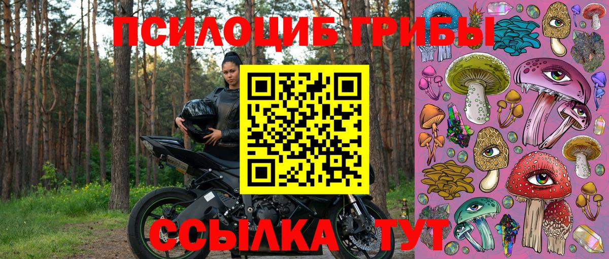 Галлюциногенные грибы Magic Shrooms Орск